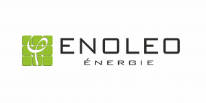logo_enoleo